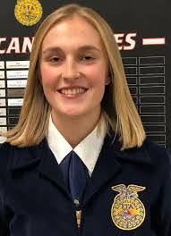 Alex Fergerson's Instagram, Twitter & Facebook