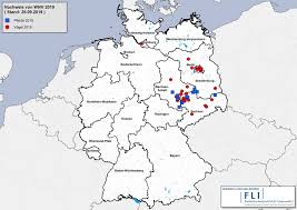 Strains found primarily in asia and europe affect the kidneys and may cause severe circulatory problems, but less. Erste Infektion Mit West Nil Virus Beim Menschen In Deutschland Friedrich Loeffler Institut