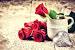 Love Valentines Day Wallpaper