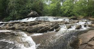 Turkey creek is often cited as the most romantic hot springs in the southwest, and even the best natural hot springs in. Property Exchange At Turkey Creek Nature Preserve A Win Win For Nature Education And Conservation Bham Now