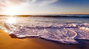 Check prices of vegetarian taco and stuffed taco. Five Reasons To Retire To North Myrtle Beach Sc Realstar Homes