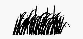 Rumput grinting (cynodondactylon) adalah jenis rumput yang memiliki kemampuan agak berlebihan dalam hal bertahan hidup dibandingkan rumput jenis lain seperti rumput teki,rumput gajah, rumput. Grass Clipart Png Transparent Images Rumput Cartoon Png Download Kindpng