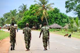 Dozens of people have died in insurgent attacks launched on wednesday in the coastal town of palma, in cabo delgado, mozambique. Y9 U9a73psbuhm