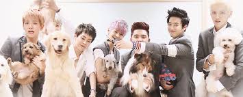 Studium in berlin, im anschluss angestellt in der kleintierklinik der fu berlin, war anschließend . Keyshu Exo With Dogs D