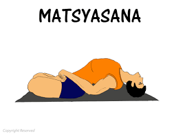 Matsyasana How To Do Benefits Precautions 101yogasan