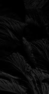 C'est pourquoi, le fond d'écran noir et blanc est un choix stylé et balancé. Fond D Ecran Noir Pour Votre Telephone Plus De 100 Beaux Fonds Sombres