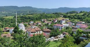Osmanlı Rus Harbinde Artvin'den gelenlerce Kocaeli Gölcük Samanlı Dağları Naldöken Ormanları eteğinde kurulan Hasaneyn (çifte güzellik); İzmit'e14 km İlçeye 9 km de, 529 nüfuslu şirin bir köydür. Spor tesisi, doğal yürüyüş ve