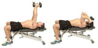 Posted on january 19, 2014 by tavi castro. Lying Dumbbell Triceps Extension Bodybuilding Wizard