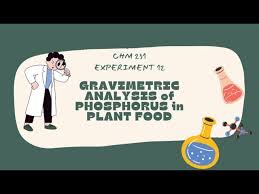 EXP 4 CHM256 Report Sheet Analytic Chemistry