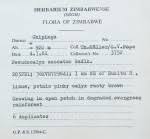 Image result for Pseudocalyx saccatus