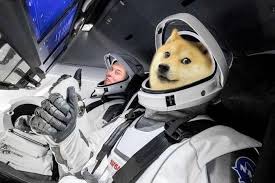 These are the top 50 memes circulating for 2021. Dogecoins Anstieg Ein Ergebnis Eines Elon Musk Dogeday Crypto Popularitats Mix