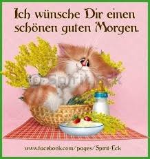 Pin Von Viola Schoneck Ehemals Hauf Auf Guten Morgen 2 Guten Morgen Lustig Guten Morgen Guten Morgen Bilder