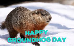 Bill murray sings a groundhog day carol, bringing us all hope and/or despair depending on which day of groundhog day you're trapped in! Groundhog Day Gifs Get The Best Gif On Giphy
