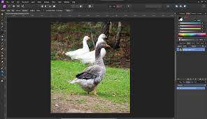 Once you've learned the basics of adobe photoshop, you'll probably start looking for ways to exercise really precise control over the adjustments you make to your images. Ruudvanu S Content Affinity Forum