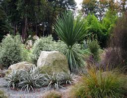 Nz Native Garden Native Garden Backyard Plants Garden Landscape Design