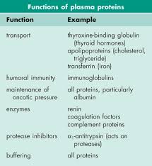 Which Organ Secretes Most Of The Plasma Proteins?
