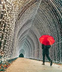 Desejo A Voce 365 Dias De Felicidade 52 Semanas De Prosperidade 12 Meses De Amor E Carinho Muita Luz London Christmas London In November Kew Gardens London
