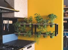 Jardin D Interieur Comment Le Cultiver Plantes De Cuisine Cuisinella Jardin Interieur