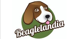 Maybe you would like to learn more about one of these? Bauwow Your Social Petwork Beaglelandia Goes On Tour