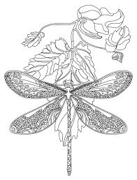 Turns an unsecure link into an anonymous one! Zentangle Dragonfly Mandala Coloring Pages Novocom Top