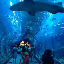 Aquarim Dubai Emiratos Arabes Emiratos Arabes Unidos