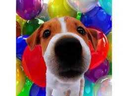 Happy birthday, and enjoy every single day of being 19! Happy Birthday Linda Your Personal Birthday Video Birthday Wishes Funny Funny Wishes Happy Birthday Mommy