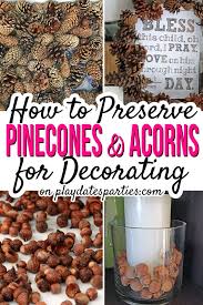 Submitted 2 years ago by andthenhome. How To Preserve Pine Cones And Acorns For Decorating