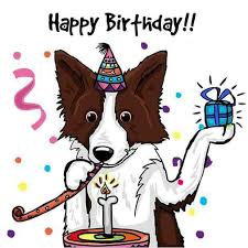 Pin By Debbie Rice On Border Collie Art Happy Birthday Dog Happy Birthday Cat Puppy Quotes