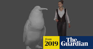 The bald eagle is species of bird in the accipitridae any animal that has feathers, a beak, a lightweight skeleton and that lays eggs is a bird. Human Sized Penguin Fossil Discovered In New Zealand Extinct Wildlife The Guardian