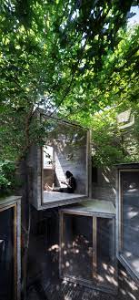 Pin By Dan Pike On Buildings Tree Trunk Tree Plants