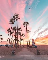 California Sunsets Are The Best Regram Debodoes California Sunset California Palm Trees Nature Photography