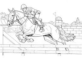 Op zoek naar mooie paarden kleurplaten en kleurplaten van veulens? Kleurplaten Ponyrijdenliessel Nl