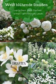 Weiss Bluhende Stauden Werden Schnell Zum Blickfang Im Garten Je Nach Der Wuchshohe Und Der Blutezeit Lassen Sich Die Einzelne Stauden Garten Gartengestaltung