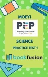 Pep Mathematics Practice Test 1 By Moeyi Bookfusion