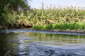 On the bank of jordan river — authentic ethnic music recordings. Plants And Bushes Growing Along The Banks Of The Jordan River Stock Photo Picture And Royalty Free Image Image 52253606