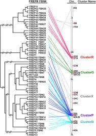 Daiho indoneisa yang bergerak dibidang plastic injections membuka lowongan kerja untuk loker loker kutai loker jakarta loker surabaya loker bandung loker bekasi loker medan loker. Anopheles Fibrinogen Related Proteins Provide Expanded Pattern Recognition Capacity Against Bacteria And Malaria Parasites Journal Of Biological Chemistry