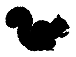 Black And White Squirrel With Acorn Clipart Squirrel Silhouette Google Search Squirrel Silhouette Silhouette Squirrel