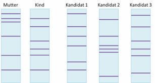 Ein vaterschaftstest kann gleich nach der geburt gemacht werden. Vaterschaftstest