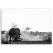 Optez pour un cadre ou tableau noir et blanc à la fois sombre et lumineux qui crée un contraste en apportant simplicité et raffinement à votre décoration murale. Tableau Impression Sur Toile Le Zebre Et L Elephant