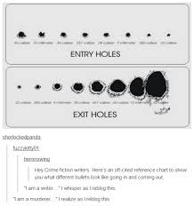 Entry And Exit Bullet Hole Sizes Just For Reference Why