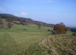 1938 war es dann, dass das dammersfeld. Kuppenweg Deutsches Wanderinstitut E V Premiumwanderweg Im Mittelgebirge