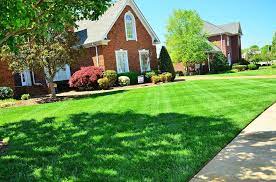 Unlimited lawn care is a locally owned company that provides 100% guaranteed comprehensive services to make your grass beautiful & healthy. Complete Guide To Lawn Care Eden Landscaping And Snow Removal