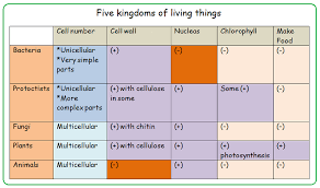 Kingdoms Of Living Organisms Biology Notes For Igcse 2014