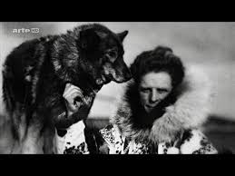 Balto a vraiment existé : Sauve Grace Aux Chiens De Traineau Youtube