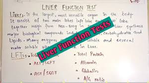 Liver Function Test A Complete Brief Easy Lecture In Hindi And Urdu Youtube