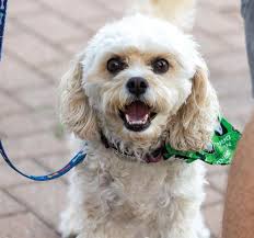 UND Alumni Magazine Winter 2024 by UND Alumni Association &amp; Foundation 