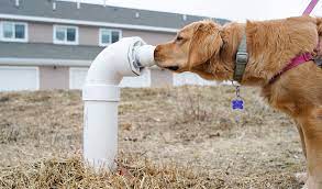 Check spelling or type a new query. How To Find Your Sewer Line