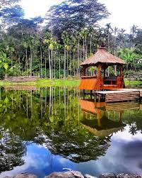 East Timor Island S Instagram Photo Repost From Ademar041294 Lagoa Beali Hatulia Ermera Timor Leste In 2020 East Timor Timor Leste Timor