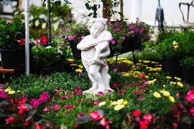 To find those cases with high quality. Flower Gardening For Beginners 2021 A Nest With A Yard