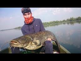 Epingle Sur Chasse Peche